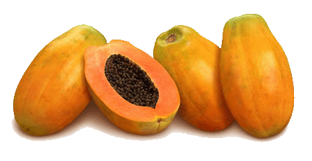 papaya