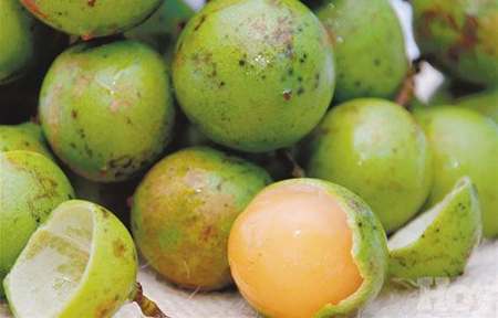 limoncillo