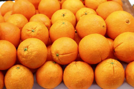 naranja agria