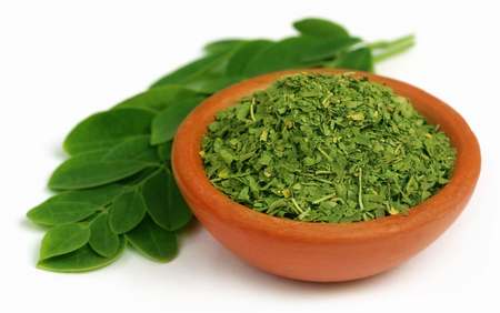 moringa